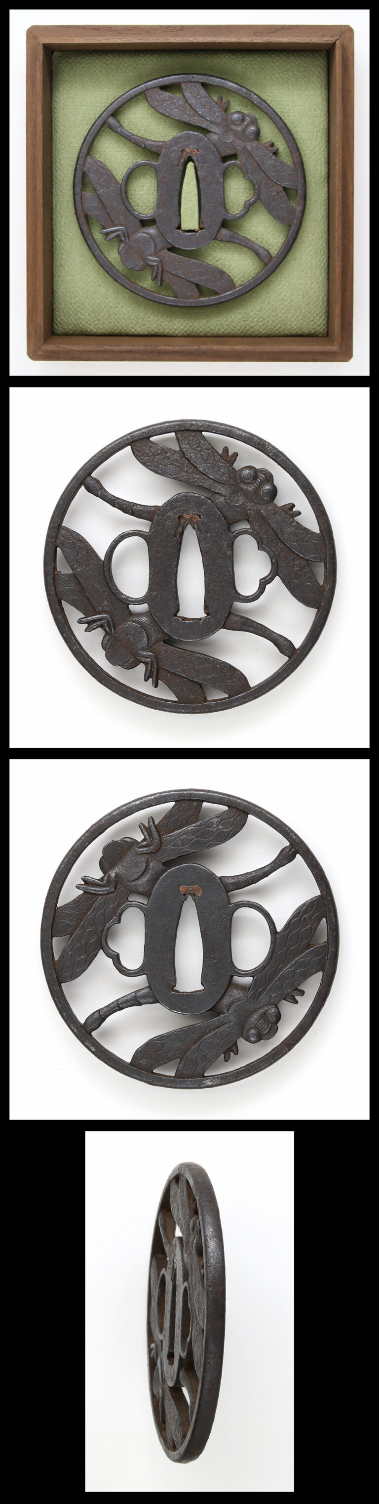 Tsuba: mumei(Unsigned) Dragonfly Design